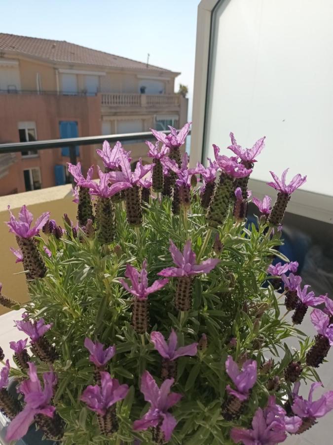 Attico Victoria Palace Suggestivo E Spettacolare Menton Eksteriør billede